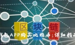 如何用国外钱包APP购买比