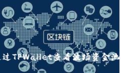  如何通过TPWallet查看波场