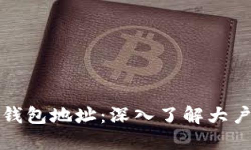 揭示比特币大户钱包地址：深入了解大户持仓与市场动向