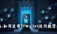 全面指南：如何使用TPWa