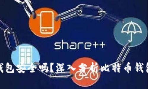 最早的比特币钱包安全吗？深入分析比特币钱包安全性与演变