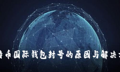 比特币国际钱包封号的原因与解决方案
