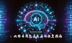 : 比特币钱包丢失后的恢复
