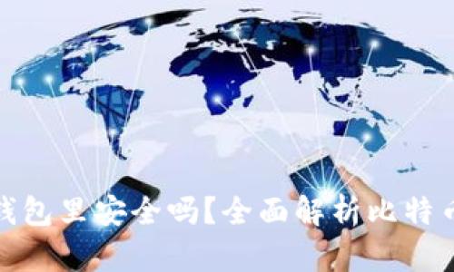 把比特币放在钱包里安全吗？全面解析比特币钱包的安全性