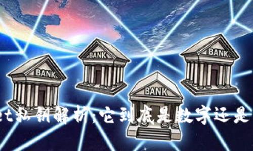 : tpwallet私钥解析：它到底是数字还是其他形式？