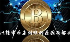 : TPWallet转中币未到账的原