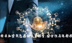 比特币加密钱包存储位置探索：安全性与选择指
