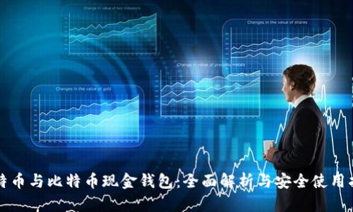 比特币与比特币现金钱包：全面解析与安全使用指南